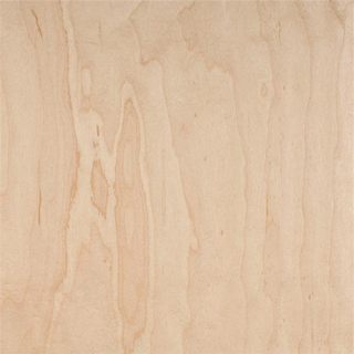 Maple Faced Plywood